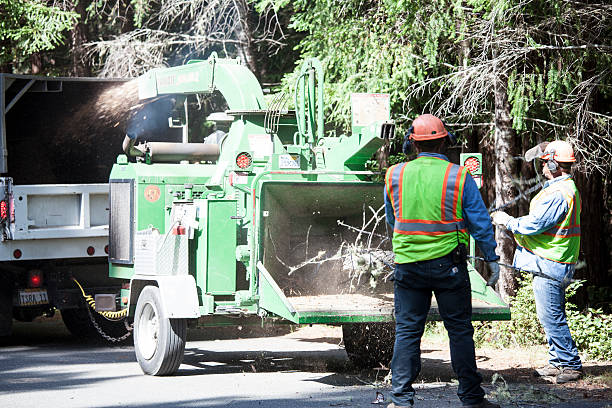 Best Lawn Watering Services  in Samsula Spruce Creek, FL